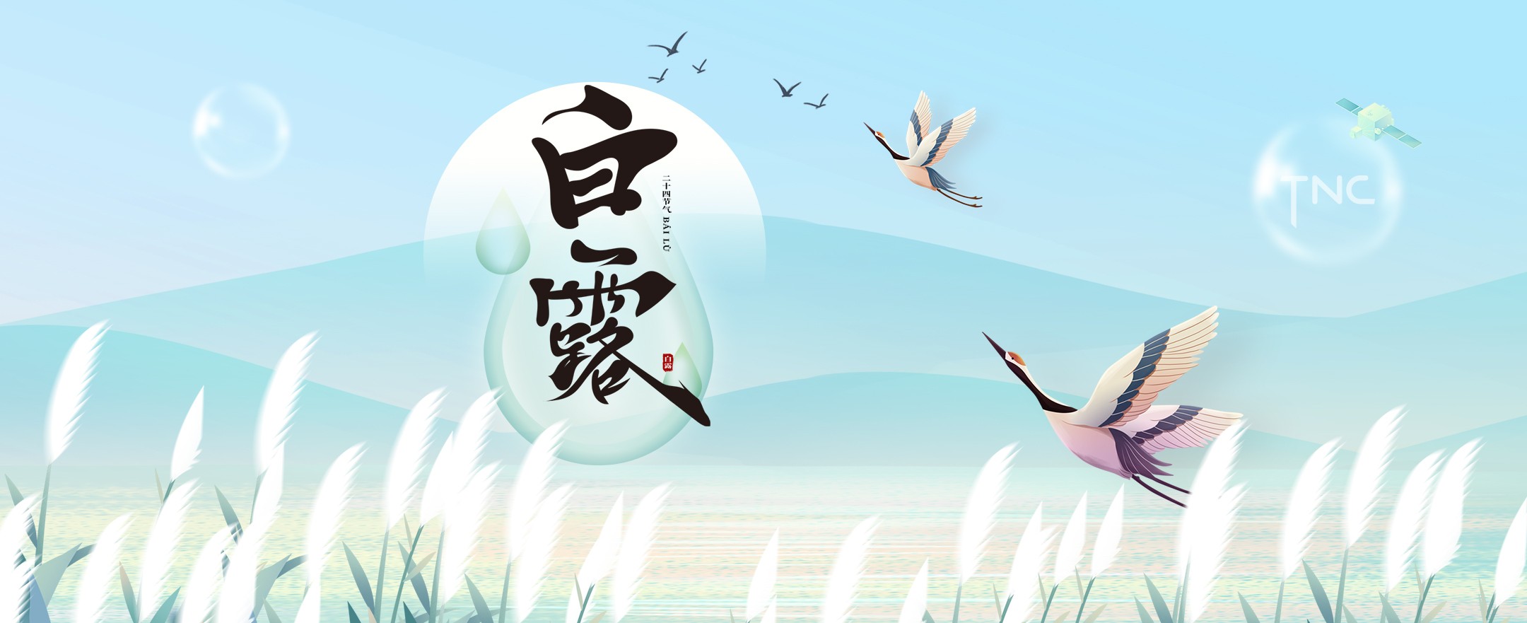 科楠科技